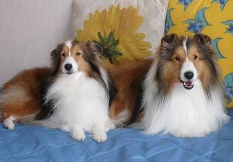 マリオン＆ハッピー