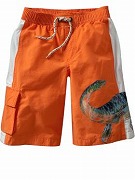 Dinosaur swim trunks.jpg