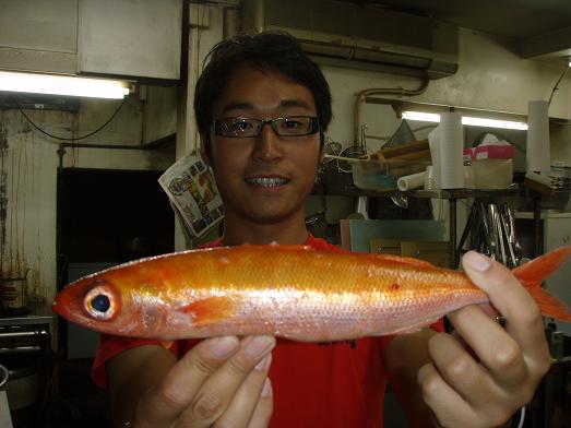 新着記事一覧 三宅島100魚種の旅 楽天ブログ
