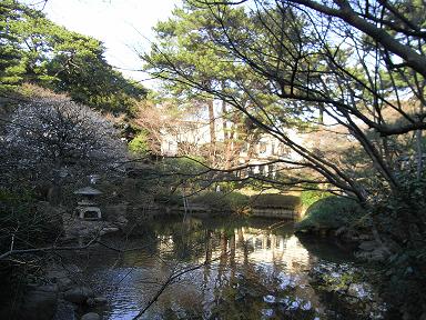 庭園美術館日本庭園.jpg