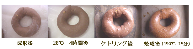 ベーグル工程