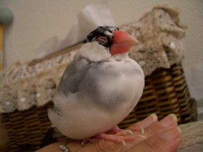 Cimg06221.jpg