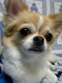 PIPI 　…　２ 554.jpg