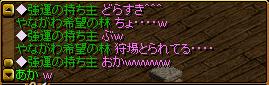 ネタ.JPG