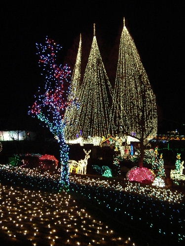 長良公園イルミネーション