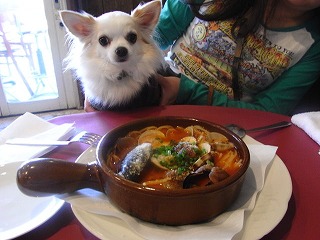 懐かしのバルカローラランチ