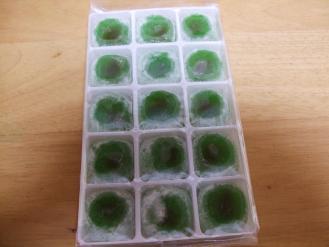 五月１９日 008.JPG