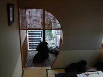 四月の梅の花 013.JPG