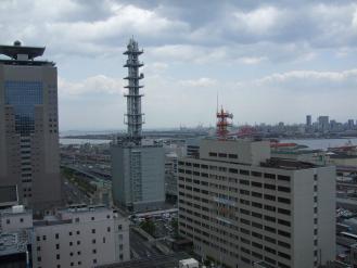 四月の梅の花 016.JPG