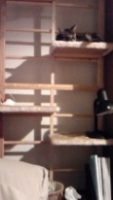 110123_2005~010001.jpg