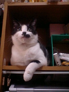 080224_1806~0002.jpg