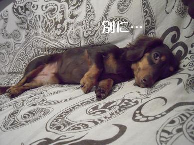 DSCN0625.JPG