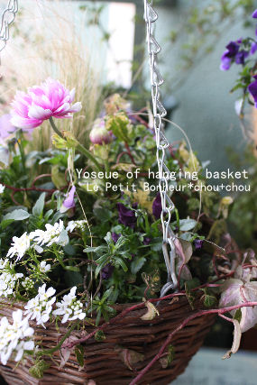 *Yoseue of hanging basket*