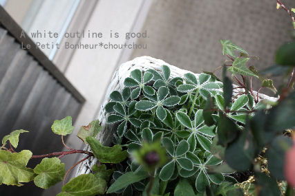 *A white outline is good*