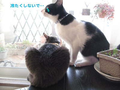 冷たくしないで‥