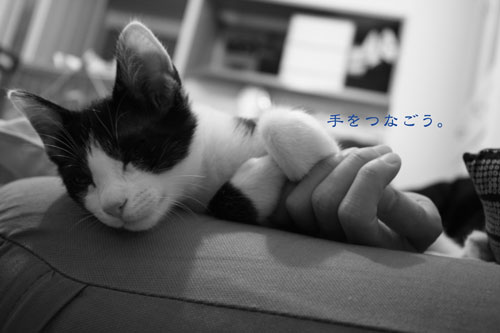 手をつなごう。