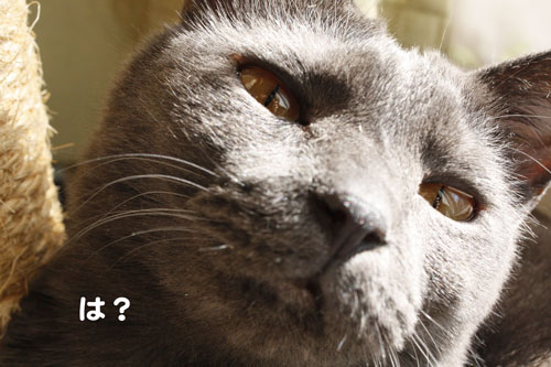 は？