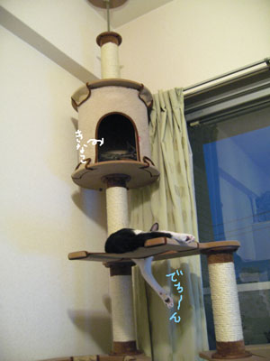 お気に召しました？