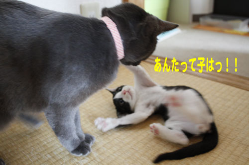 あんたって子はっ！！