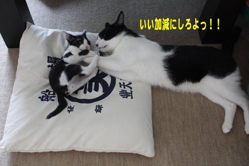 いい加減にしろよっ！！