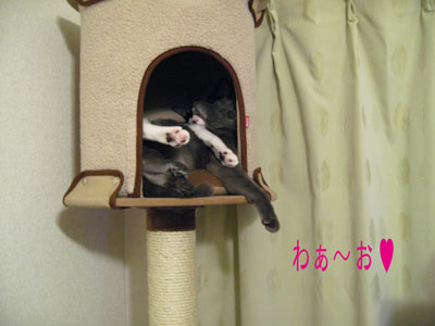 わあ～お