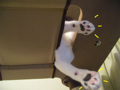 出してみた