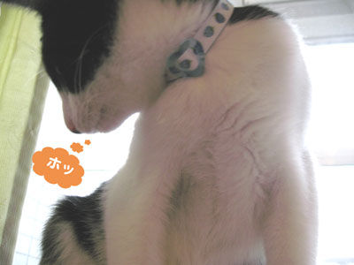 ホッ