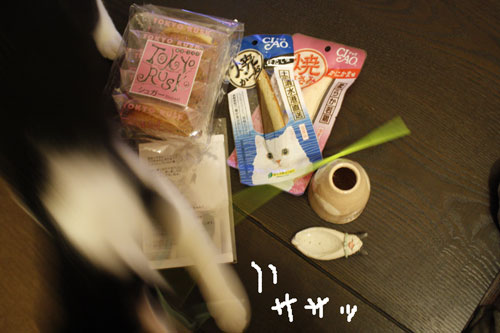 ササッ