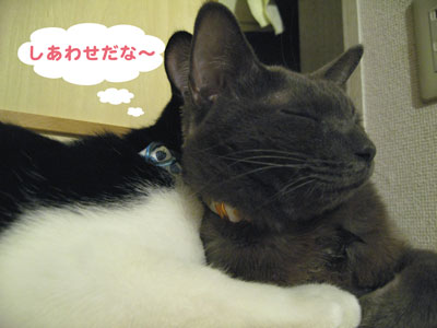 しあわせだな～