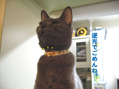 オレンジいちご