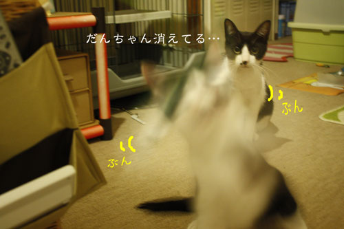 ぶんぶん