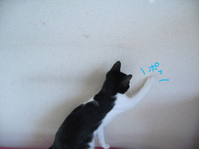 ポフ