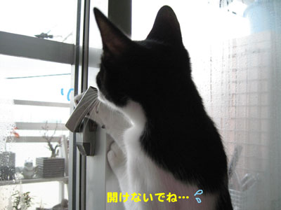 開けないでね…