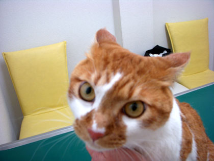 11-24-10-neyu.jpg
