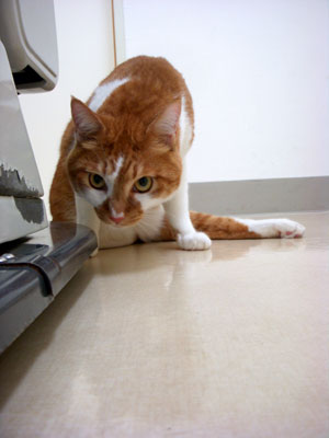 11-28-11-neyu.jpg