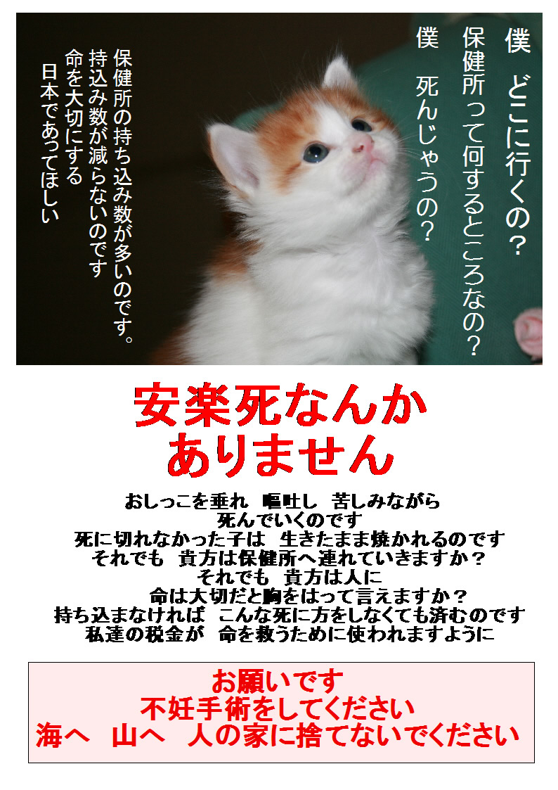 捨て猫防止ポスター