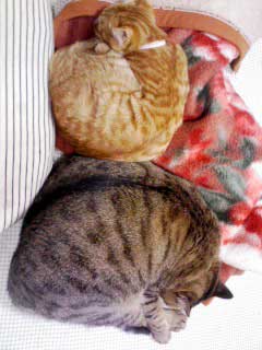 2-14-8-yukiko&reiko.jpg