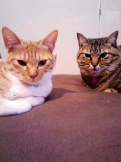 2-14-10-yukiko&reiko.jpg