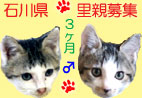 石川兄弟.jpg