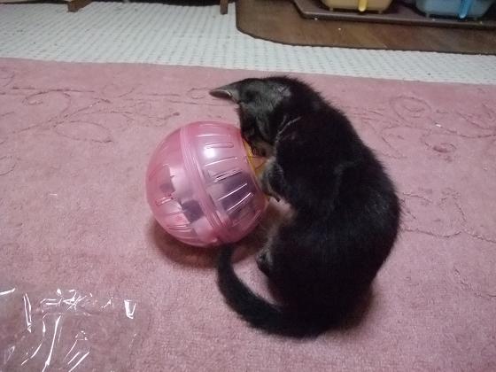 ねずみしゃん。