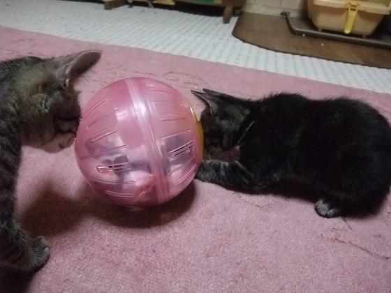 う～ん。