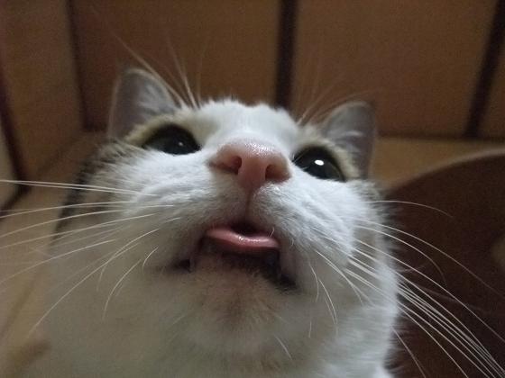 した。