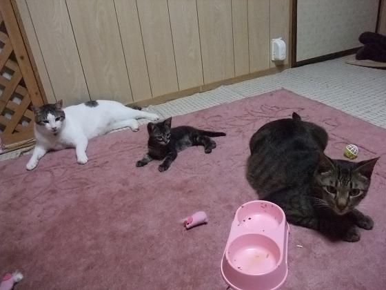 ふぅ～。