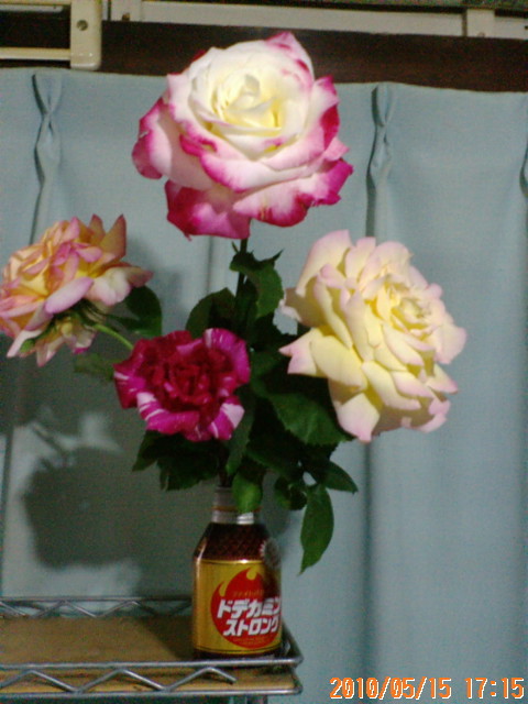 20100515171543.jpg