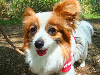 マリィは眠たい