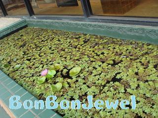 1229 RobynBuntin 003