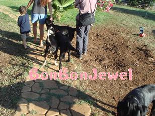 0112 MIWAKO's House001