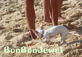 0213 BBBSC 030 Chiwawa.jpg