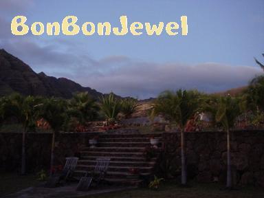 0118 After GardenW001