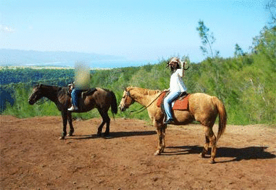 horse-back-riding.gif